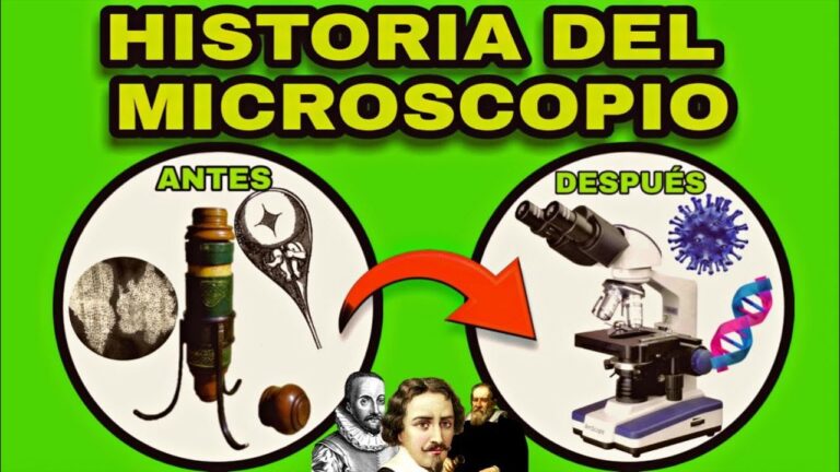 La fascinante historia del microscopio óptico