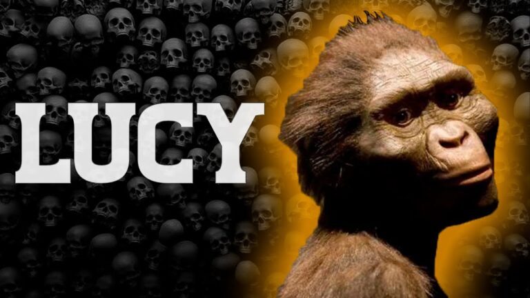 La historia completa de Lucy