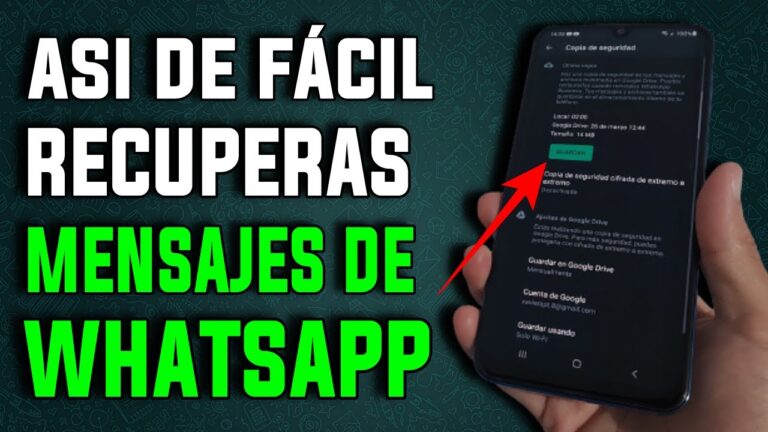 Cómo Recuperar Todo El Historial De Whatsapp Guía Completa 3121