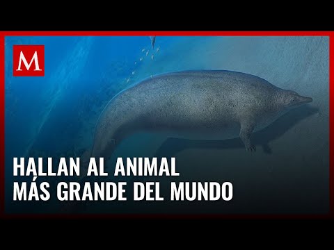 Descubre al animal más grande de la historia y su impacto en el mundo