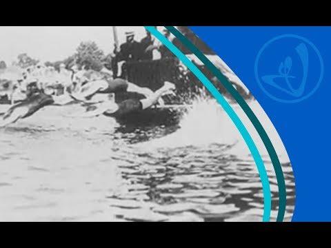 Resumen de la historia de la natación: desde sus orígenes hasta hoy