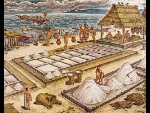 La historia de la sal en México: importancia y tradición