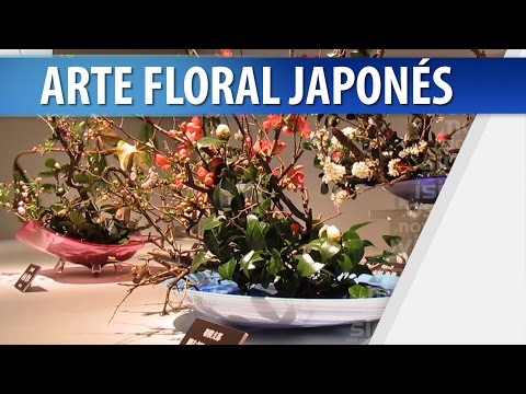 Ikebana: La Historia del Arte Floral Japonés
