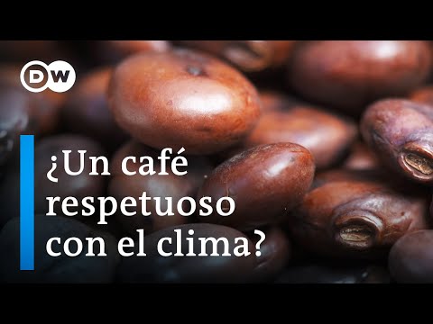 La historia de las cafeterías en México: un recorrido por el aroma y sabor del café
