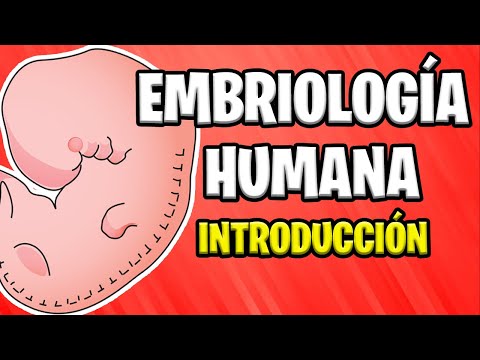 Resumen Historia Embriología: De los primeros descubrimientos a los avances actuales