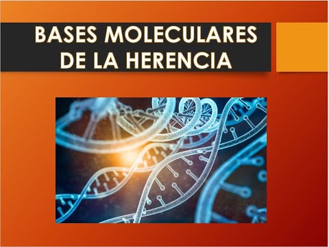Bases Moleculares: La Fascinante Historia Revelada